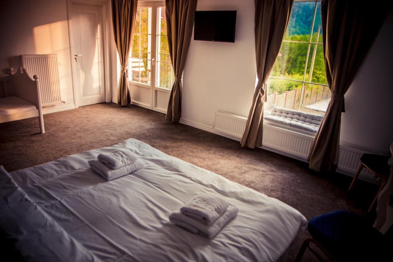 Green Hill Villa Călimăneşti Dış mekan fotoğraf
