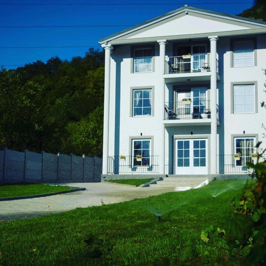 Green Hill Villa Călimăneşti Dış mekan fotoğraf