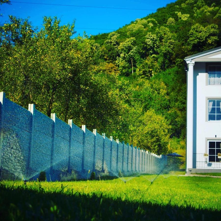 Green Hill Villa Călimăneşti Dış mekan fotoğraf