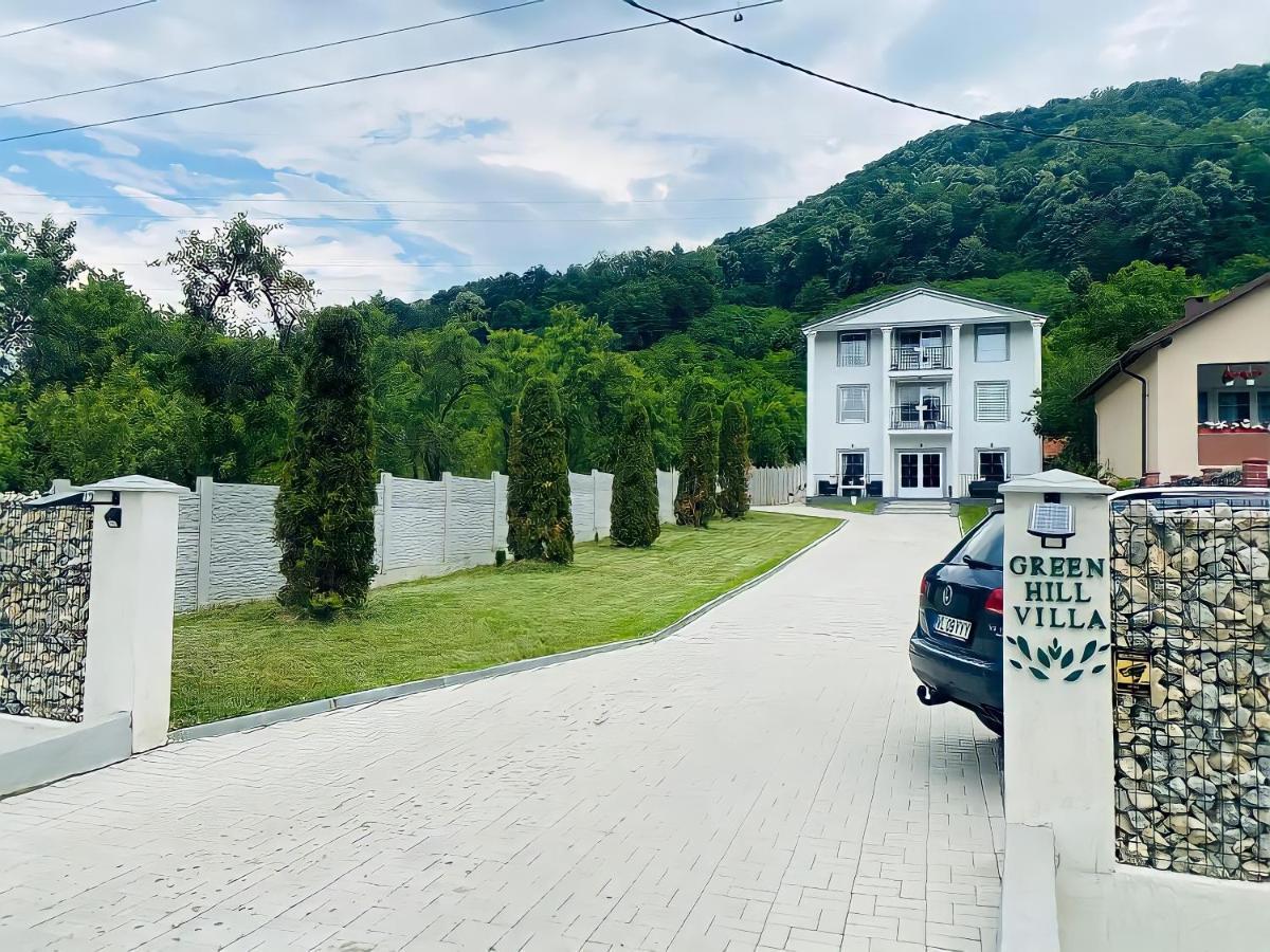 Green Hill Villa Călimăneşti Dış mekan fotoğraf