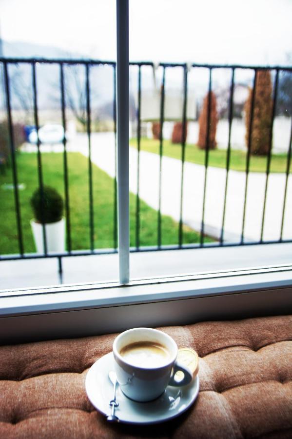 Green Hill Villa Călimăneşti Dış mekan fotoğraf