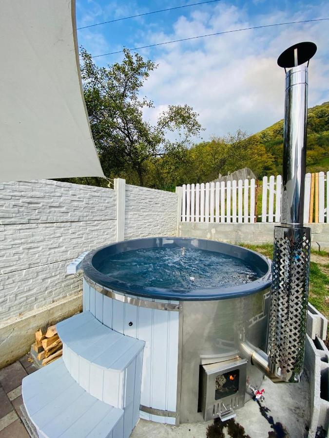 Green Hill Villa Călimăneşti Dış mekan fotoğraf