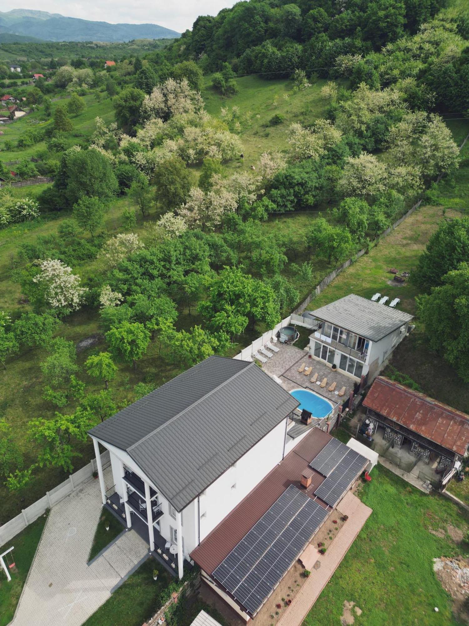 Green Hill Villa Călimăneşti Dış mekan fotoğraf