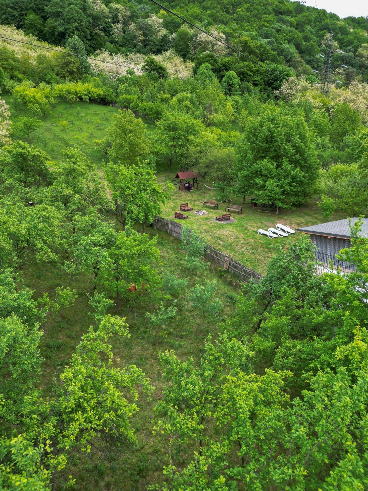 Green Hill Villa Călimăneşti Dış mekan fotoğraf
